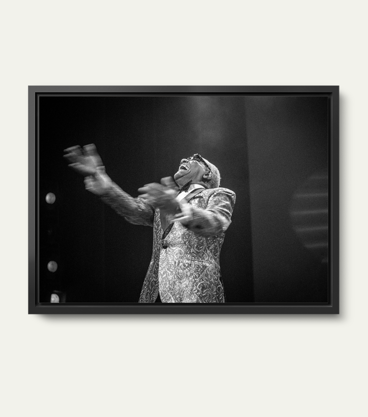 Ray Charles | Limited 100 stuks