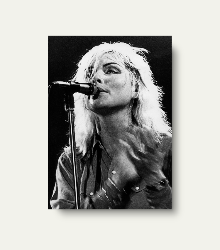 Blondie | Limited 25 stuks