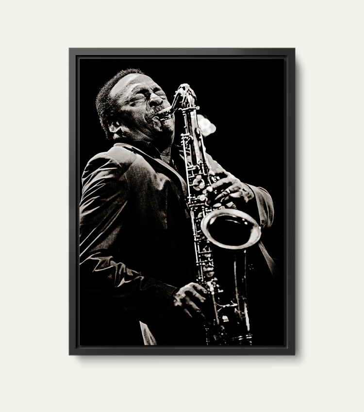 David Murray | Limited 200 stuks