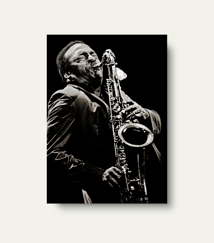 David Murray | Limited 200 stuks