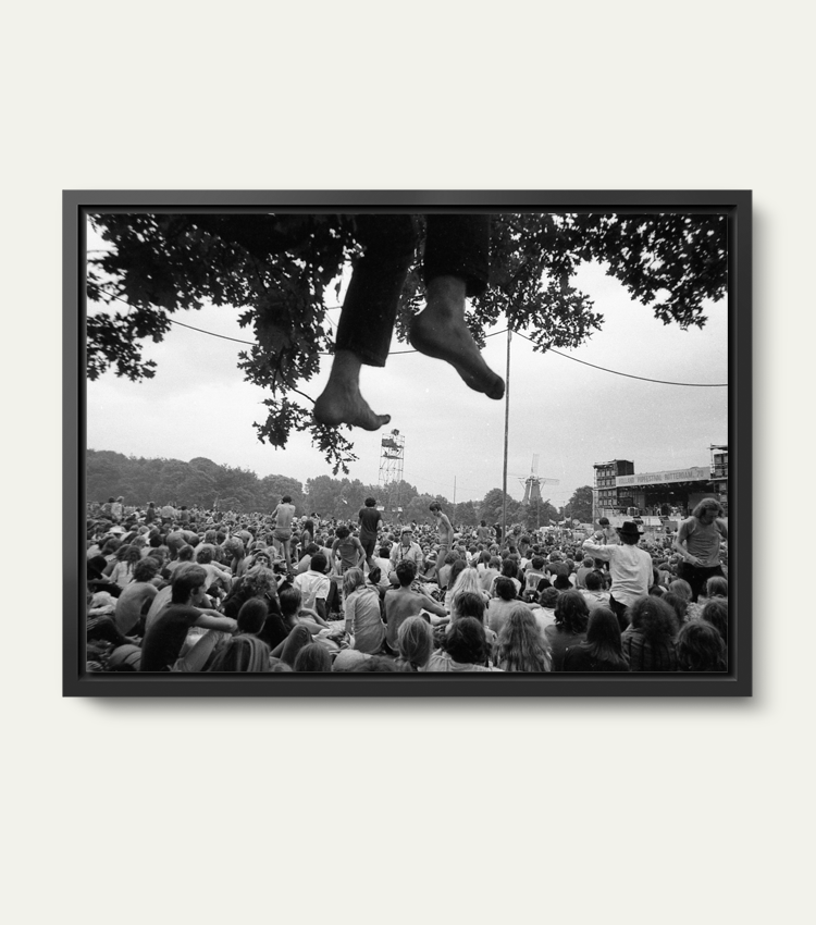 Holland Pop Festival (4) | Limited 200 stuks