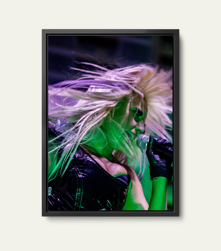 Lady Gaga | Limited 100 stuks