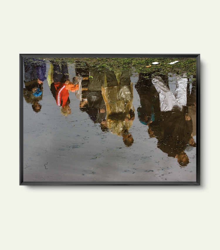 Lowlands | Limited 200 stuks