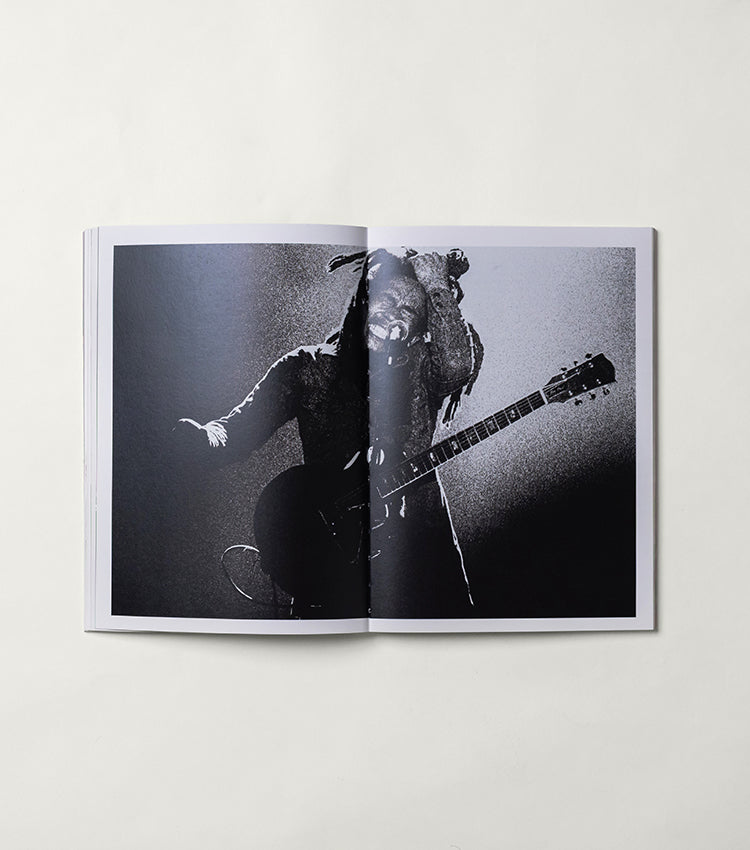 Babylon by Bus - Bob Marley & The Wailers in Nederland