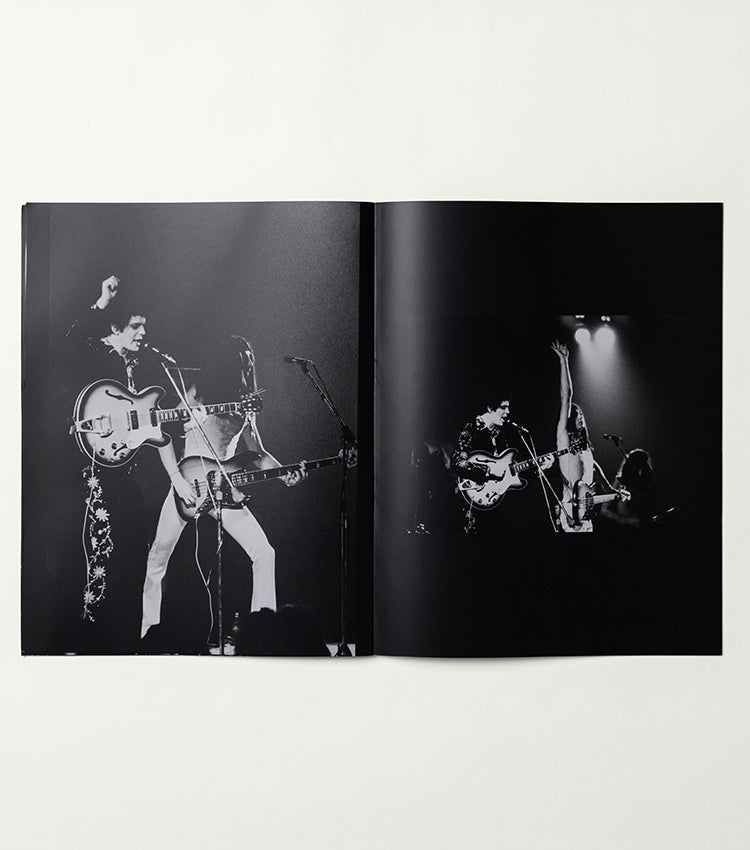 Lou Reed in Amsterdam 1972-1977