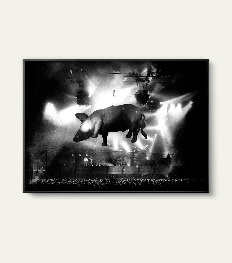 Pink Floyd | Limited 200 stuks