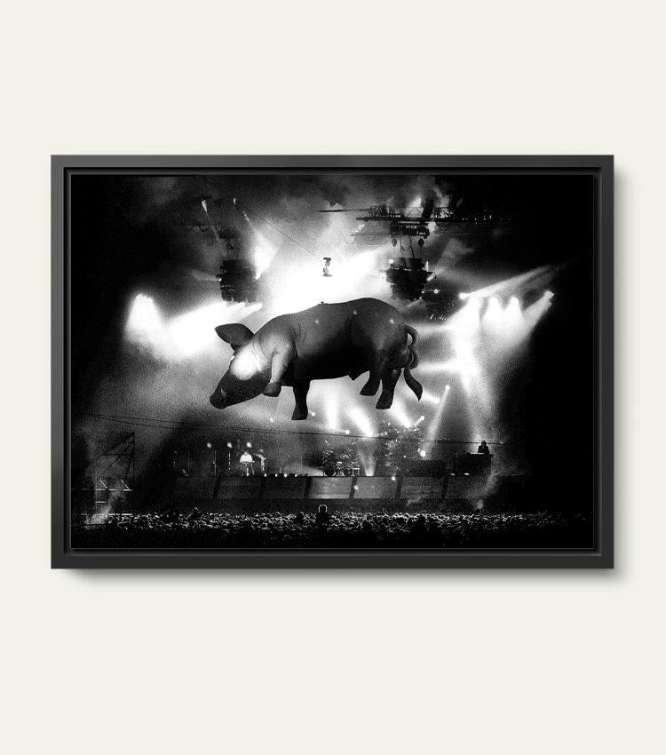 Pink Floyd | Limited 200 stuks