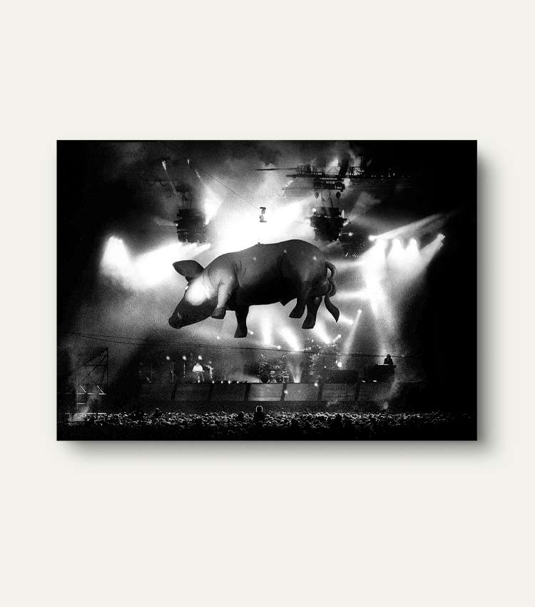 Pink Floyd | Limited 200 stuks