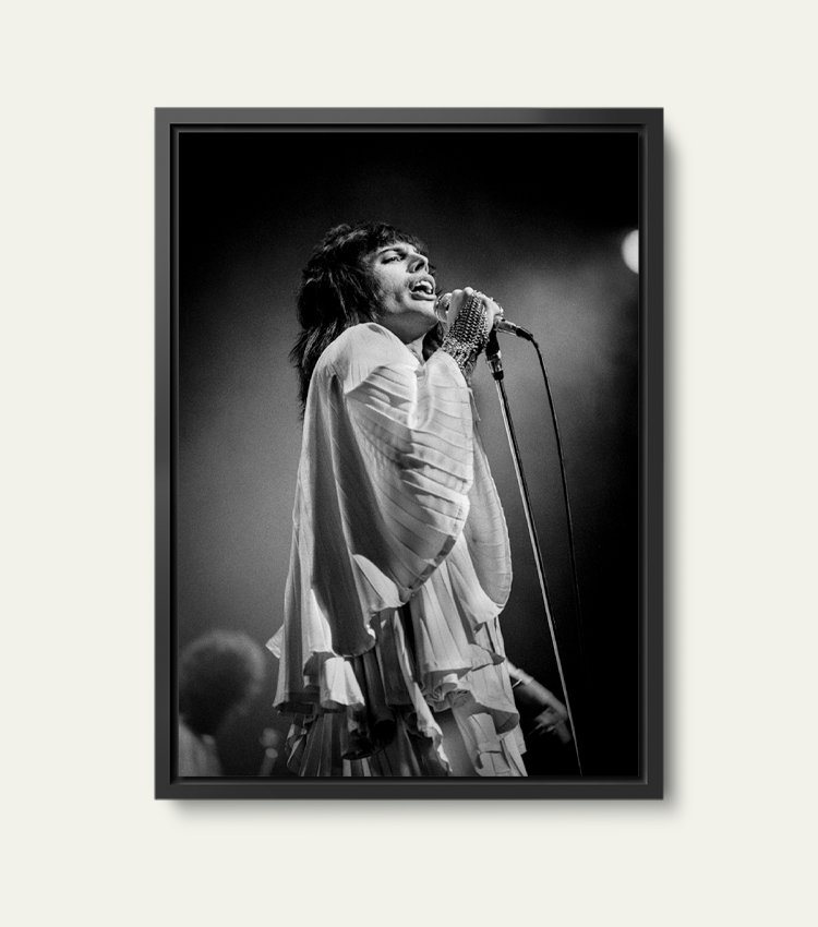 Queen | Limited 200 stuks