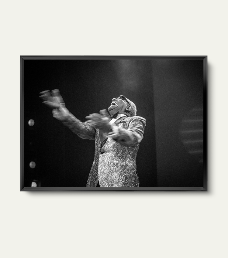 Ray Charles | Limited 100 stuks
