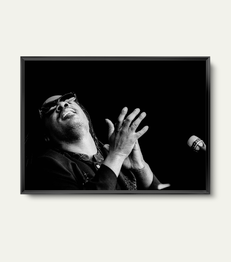 Stevie Wonder | Limited 100 stuks