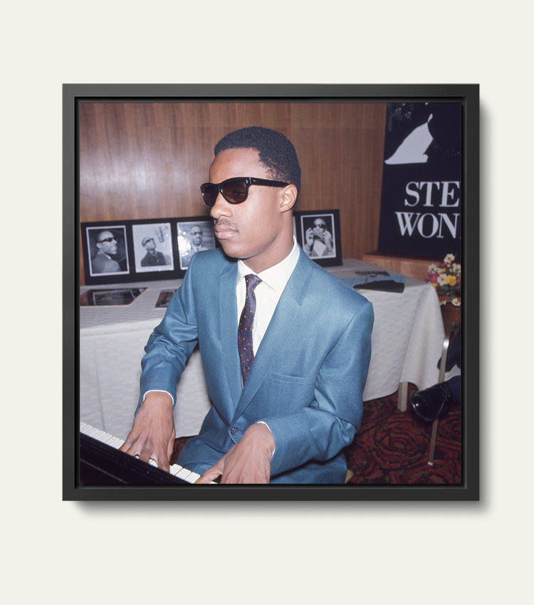 Stevie Wonder | Limited 100 stuks